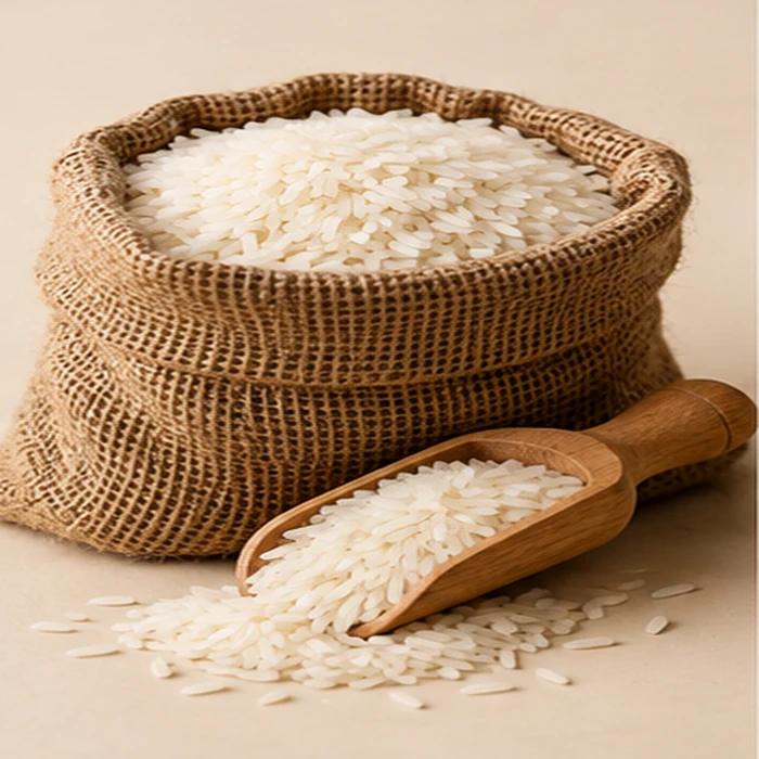 Rice